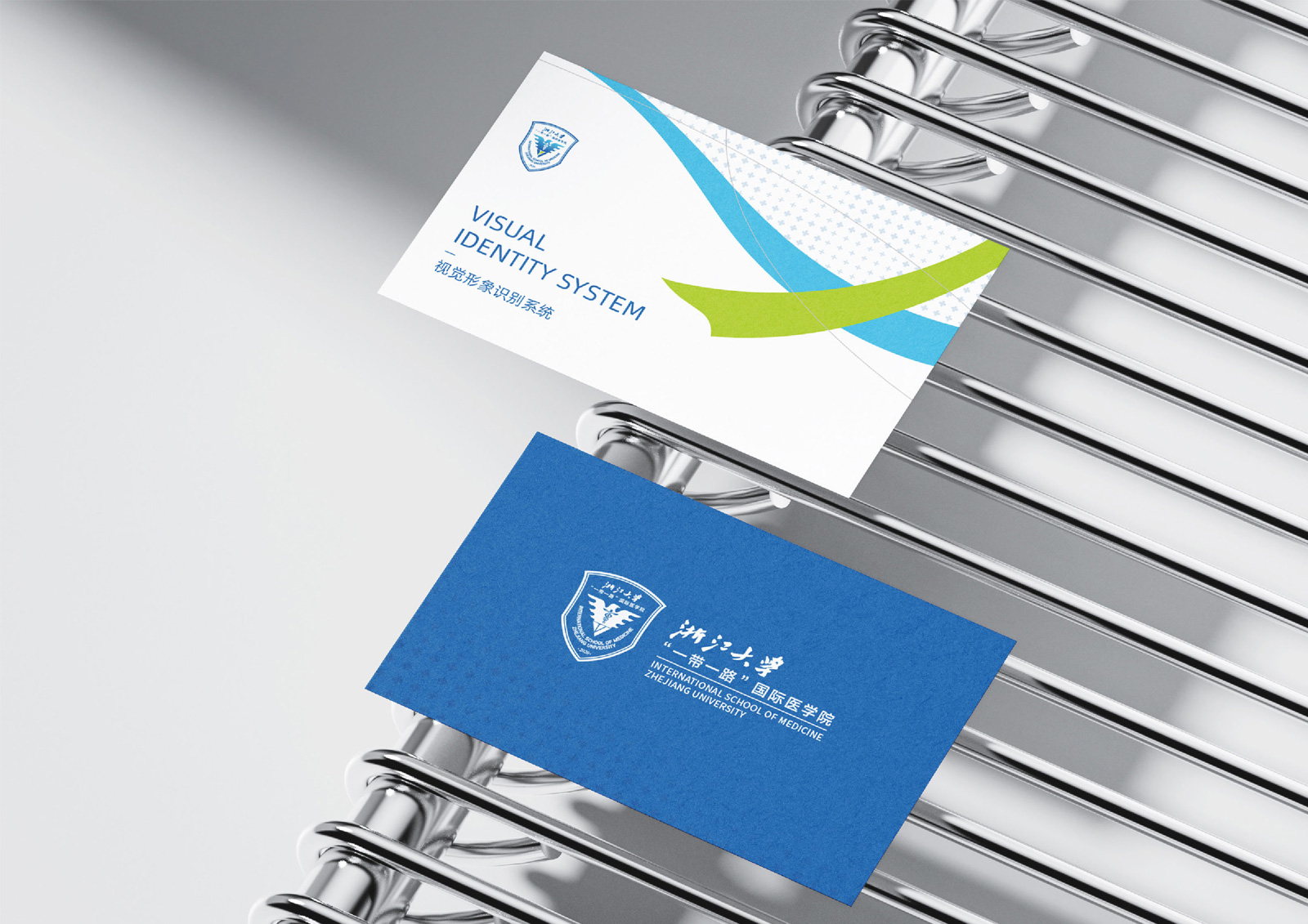 浙大一带一路国际医学院 | 视觉应用